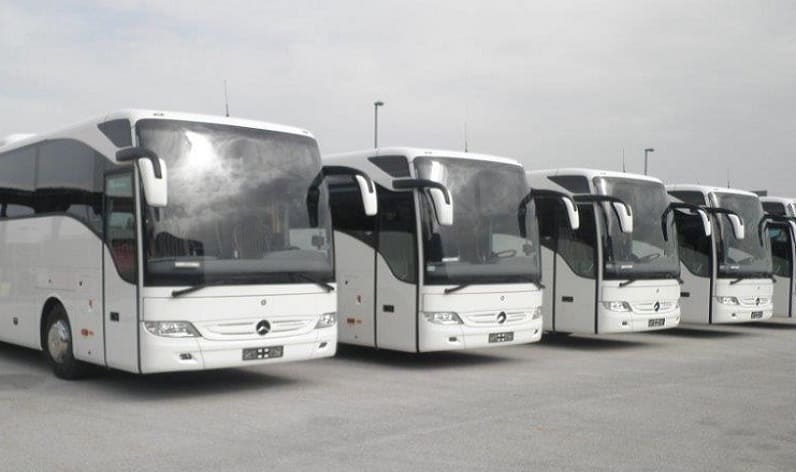 Italy: Bus company in Piedmont in Piedmont and Italy