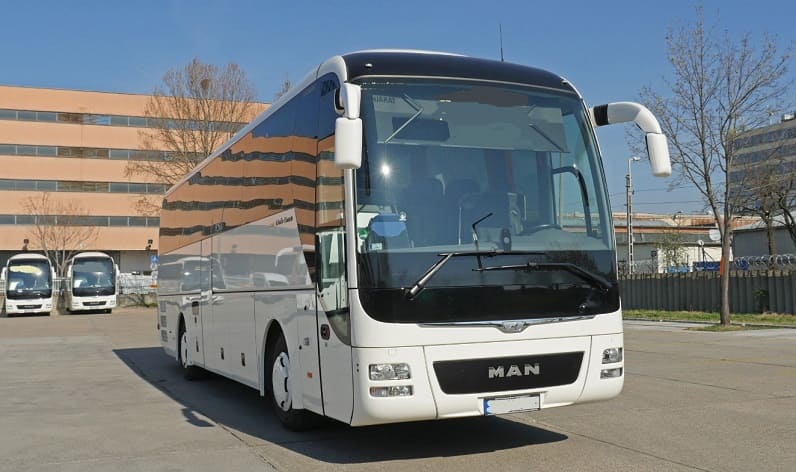 Lazio: Buses operator in Viterbo in Viterbo and Italy