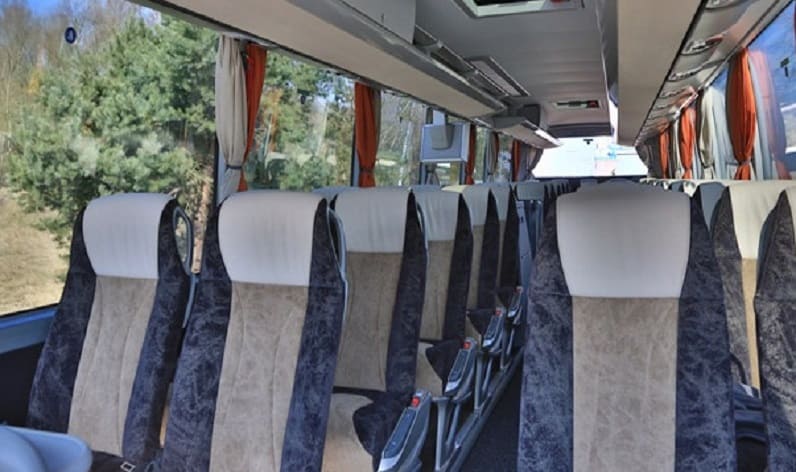 Italy: Coach charter in Tuscany in Tuscany and Florence