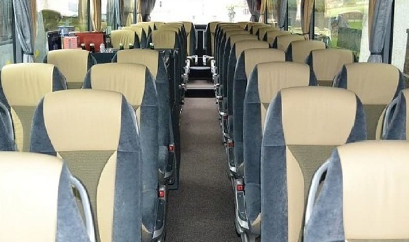 Italy: Coach operator in Tuscany in Tuscany and Scandicci